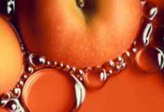 APPLE EXTRACT