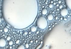 ZINC OXIDE 12%