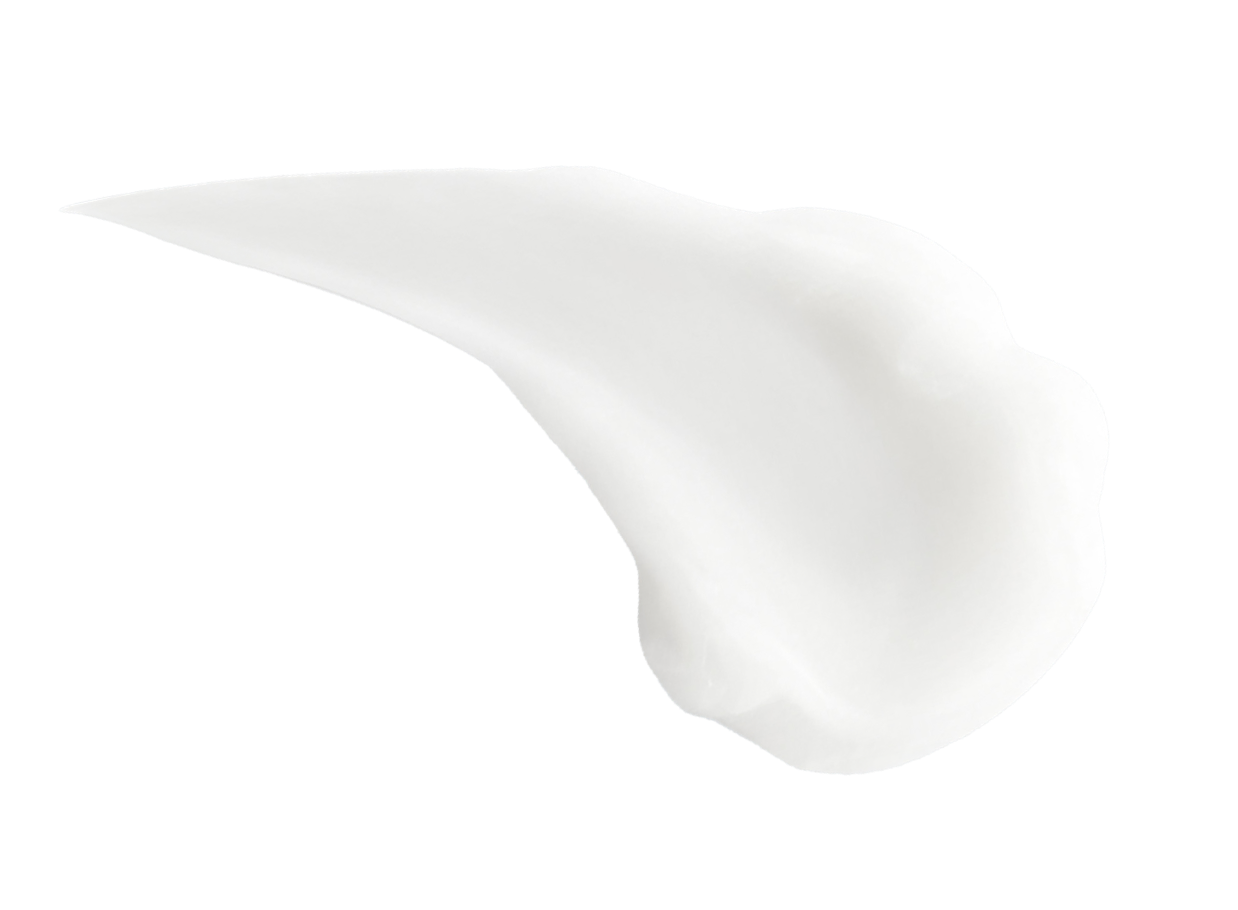 White ceramic plate on a white background