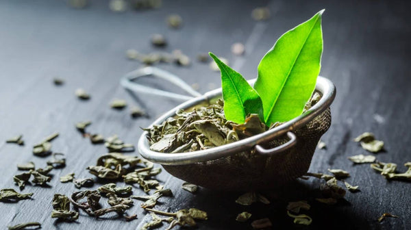 Green Tea Extract For Skin