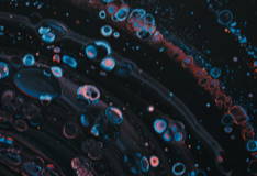 ARGIRELINE™ PEPTIDE